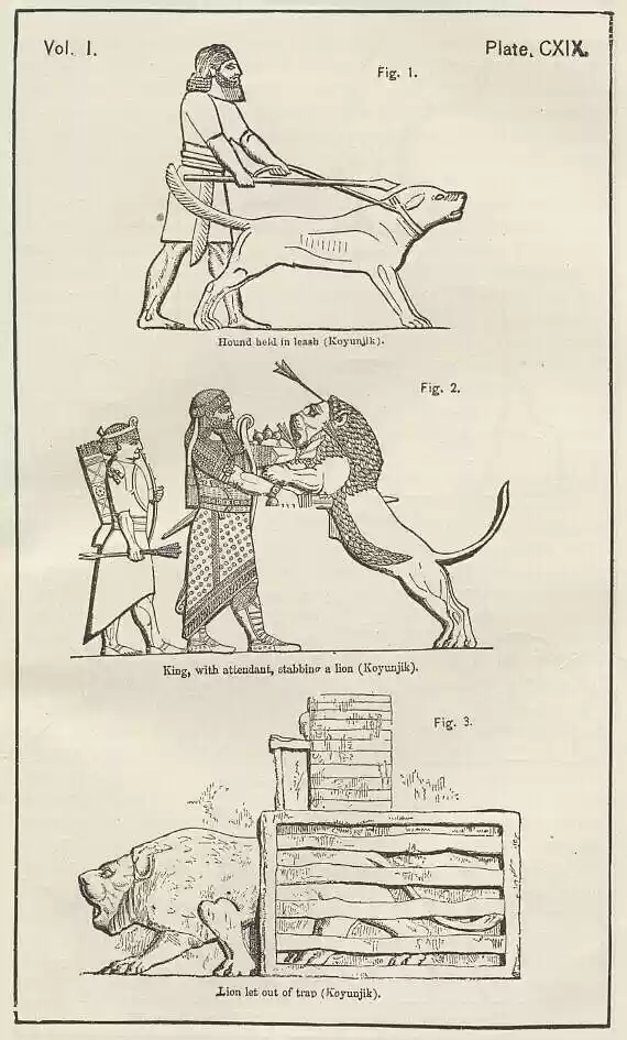 plate119